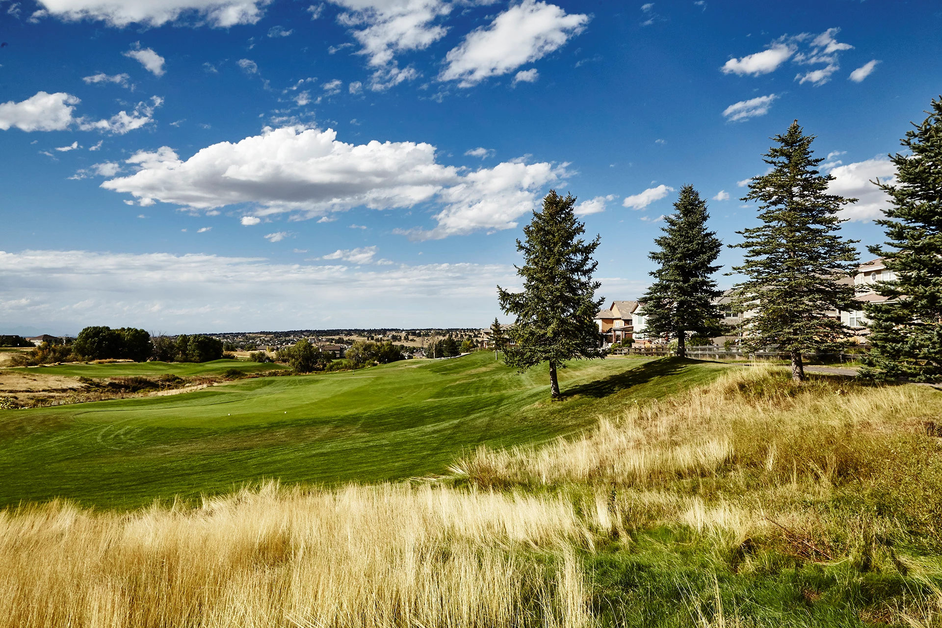 Black Bear Golf Club - Golf Course Hole #9