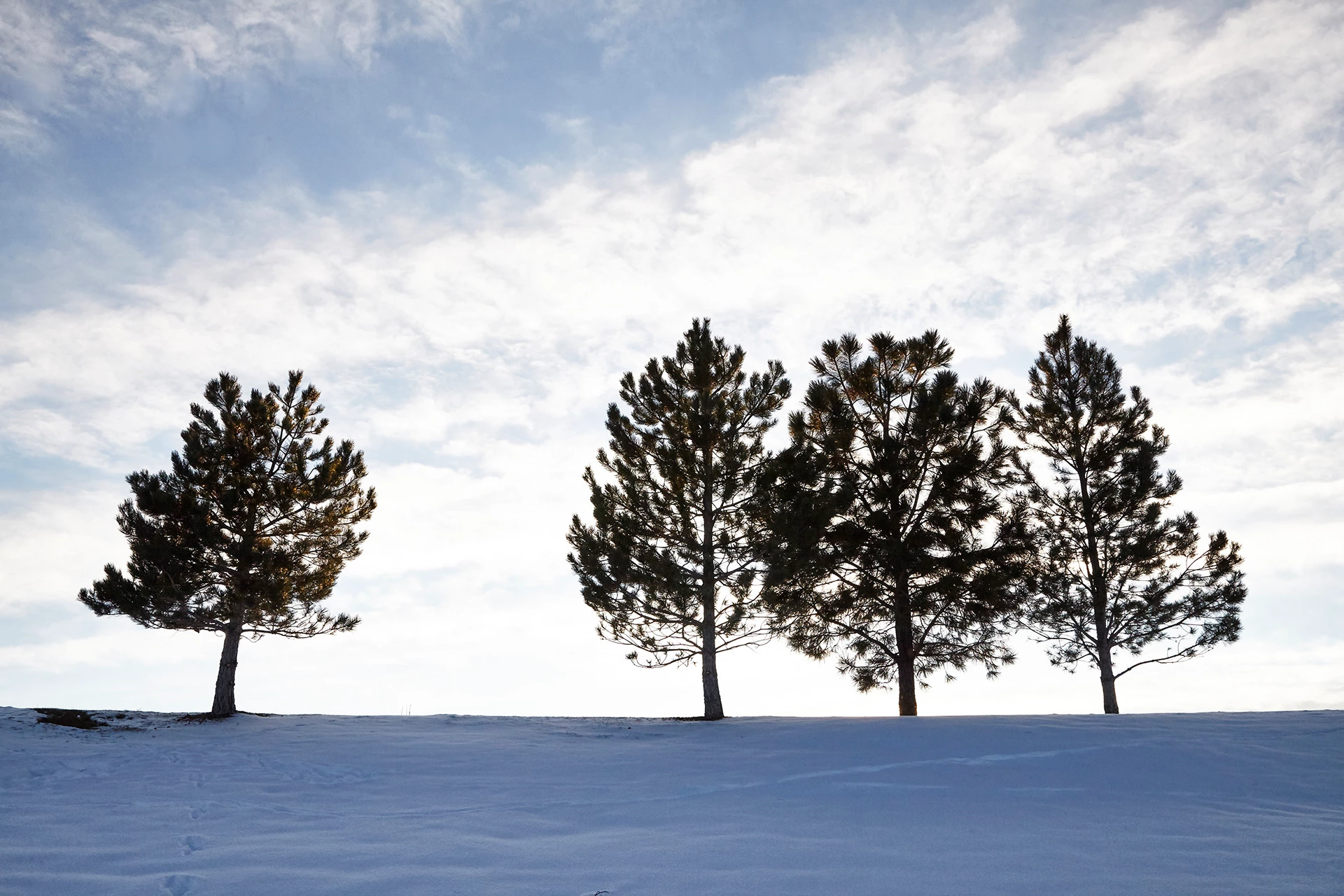 Black Bear Golf Club - Snow