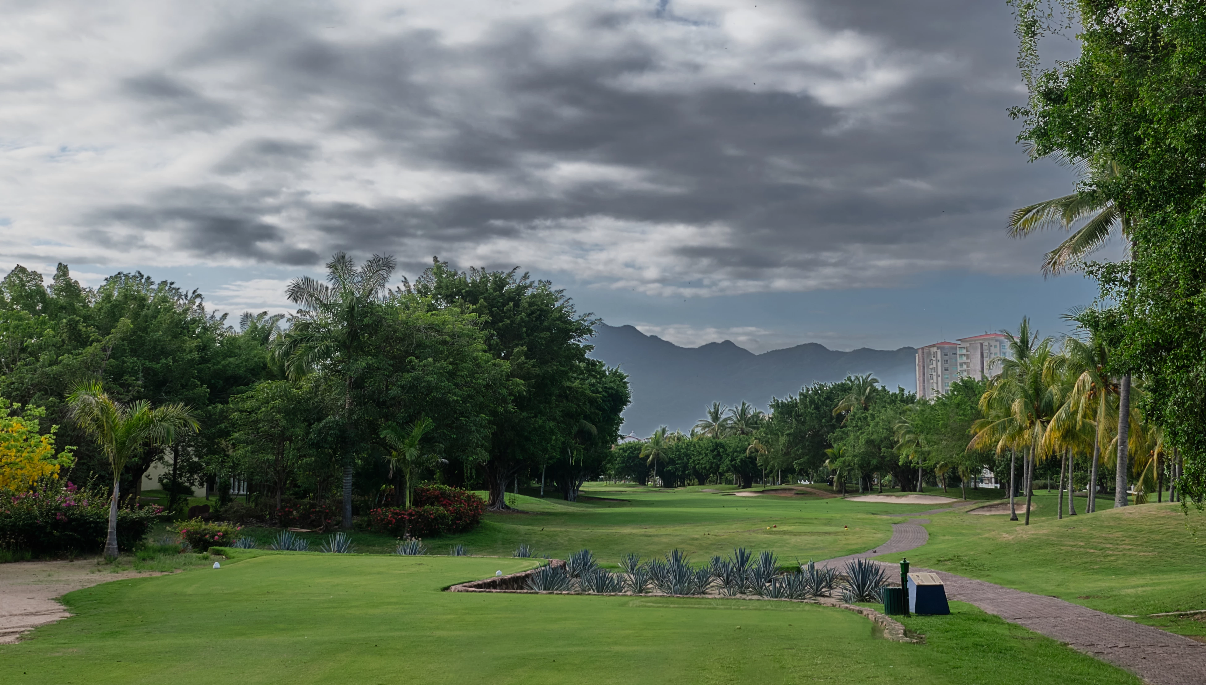 Marina Vallarta Club de Golf - Golf  Course Hole #9