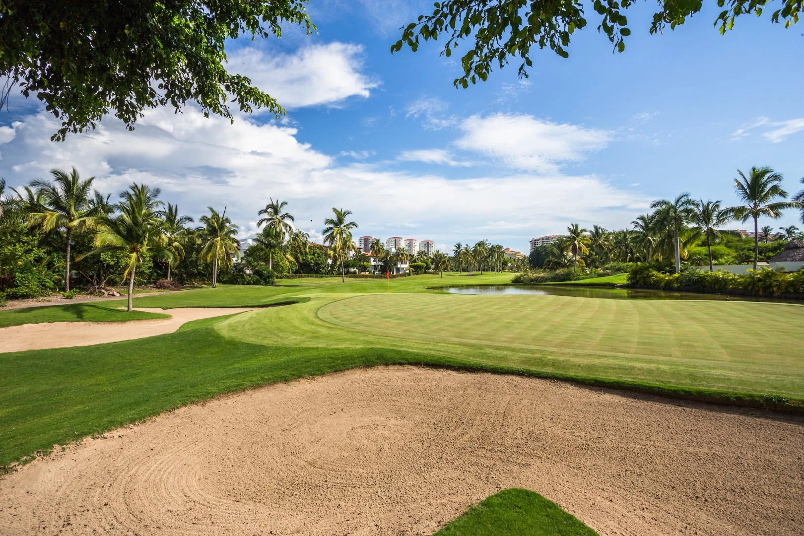 Marina Vallarta Club de Golf - Golf  Course