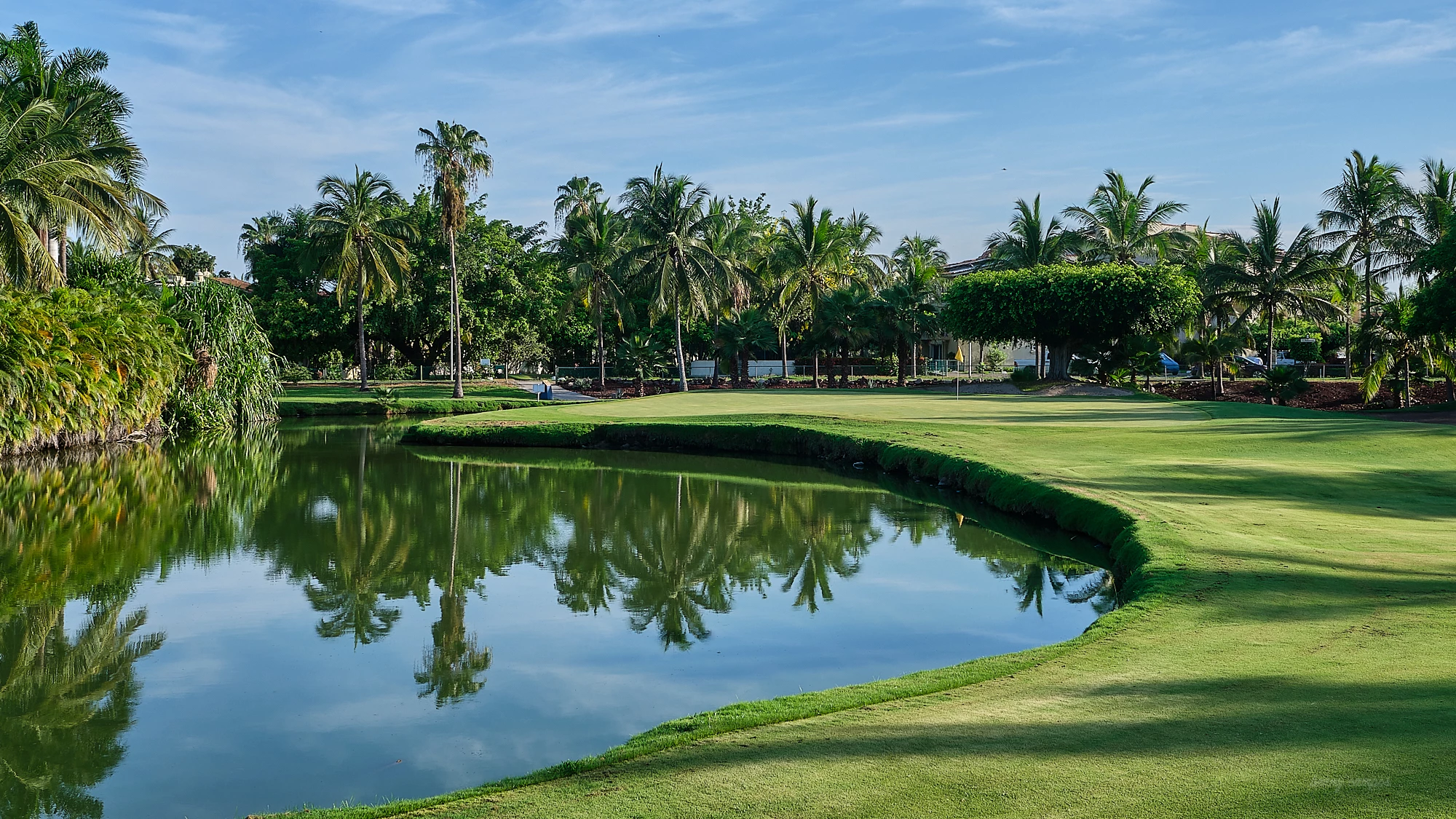 Marina Vallarta Club de Golf - Golf  Course Hole #10