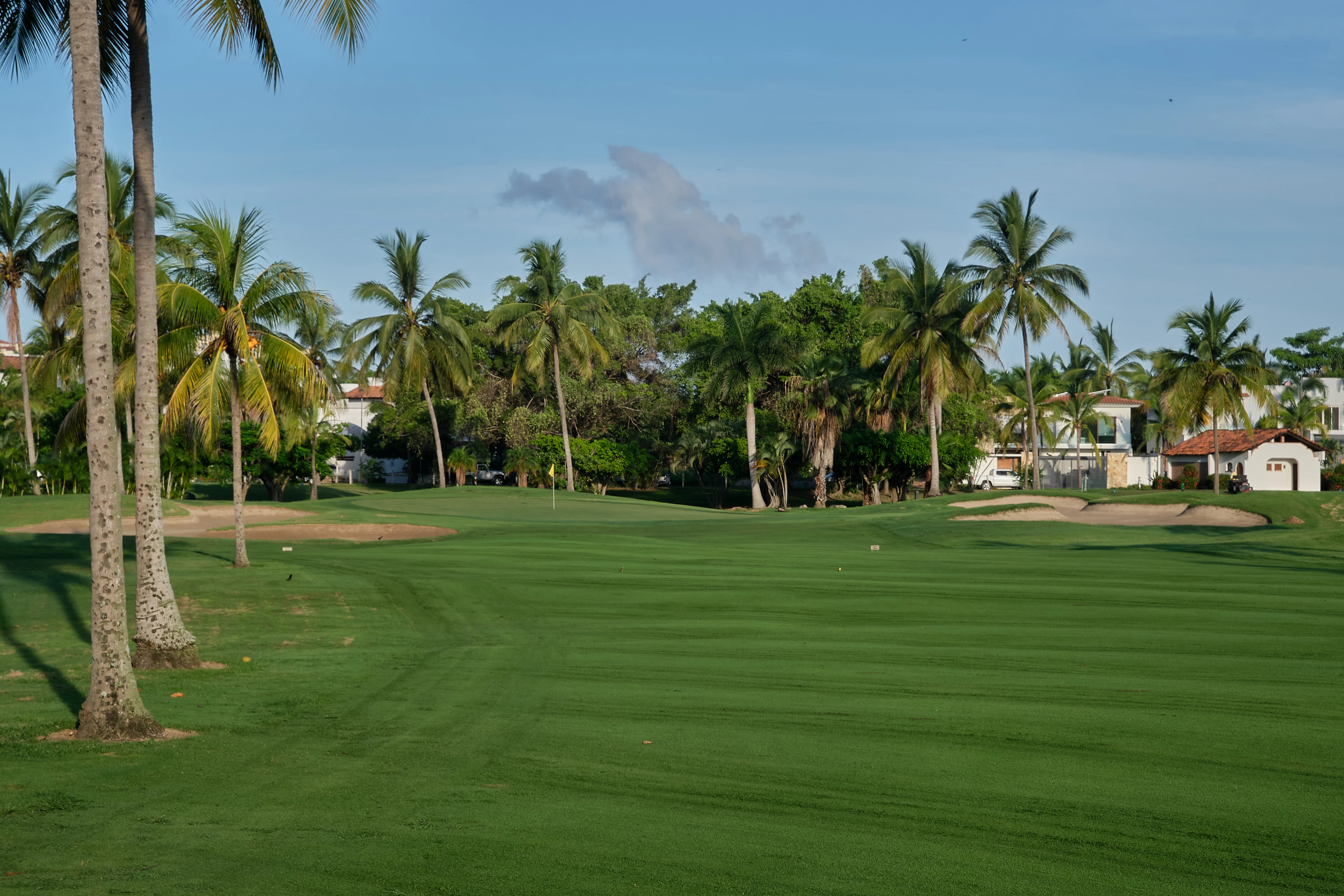 Marina Vallarta Club de Golf - Golf  Course Hole #12 Green