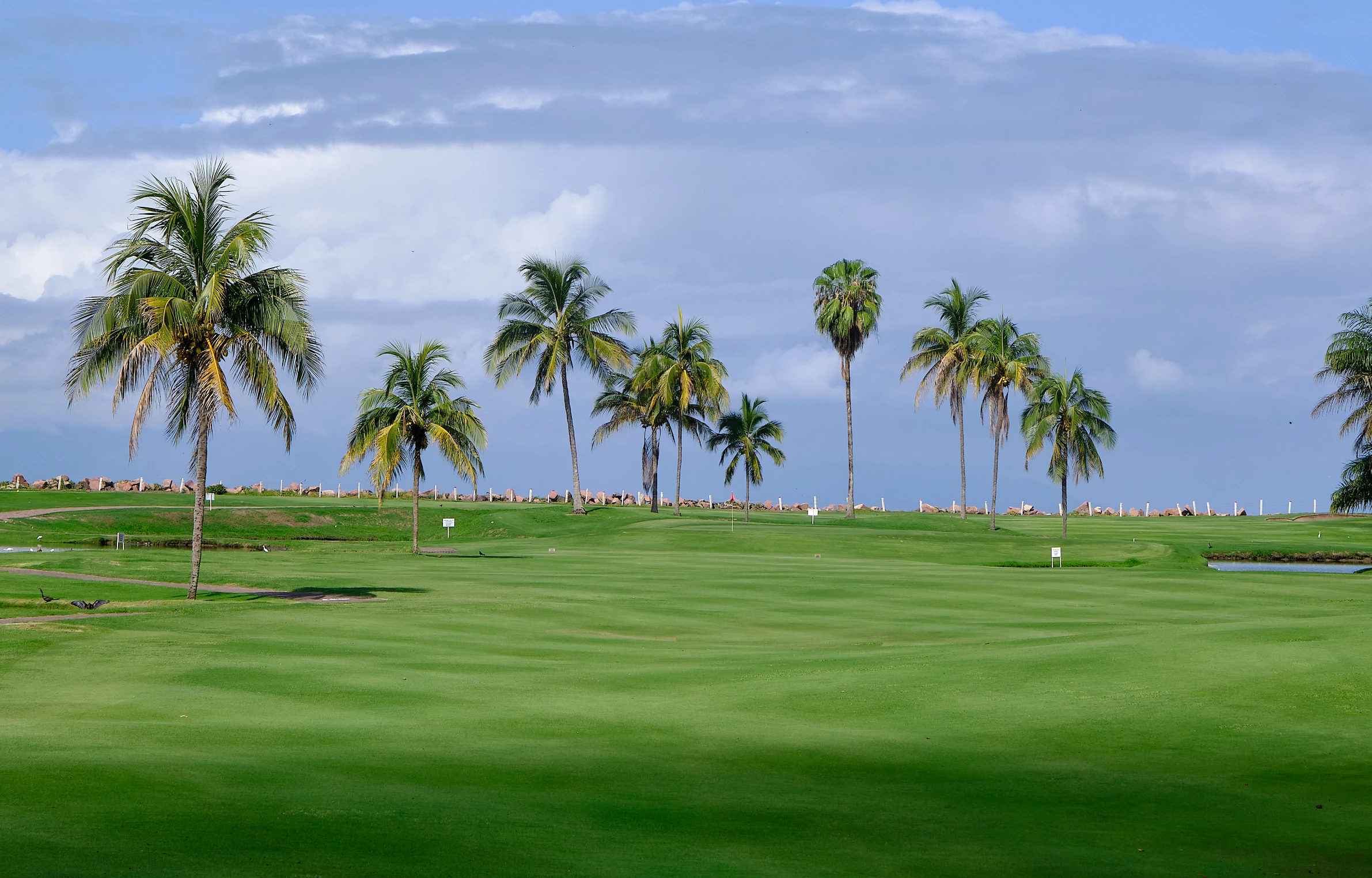 Marina Vallarta Club de Golf - Golf  Course