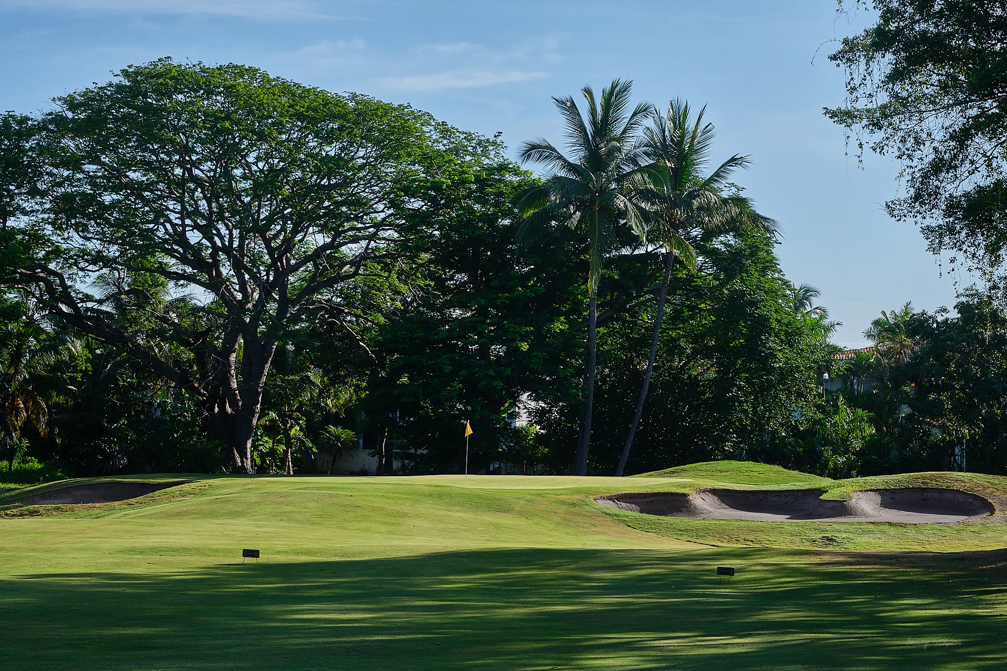 Marina Vallarta Club de Golf - Golf  Course