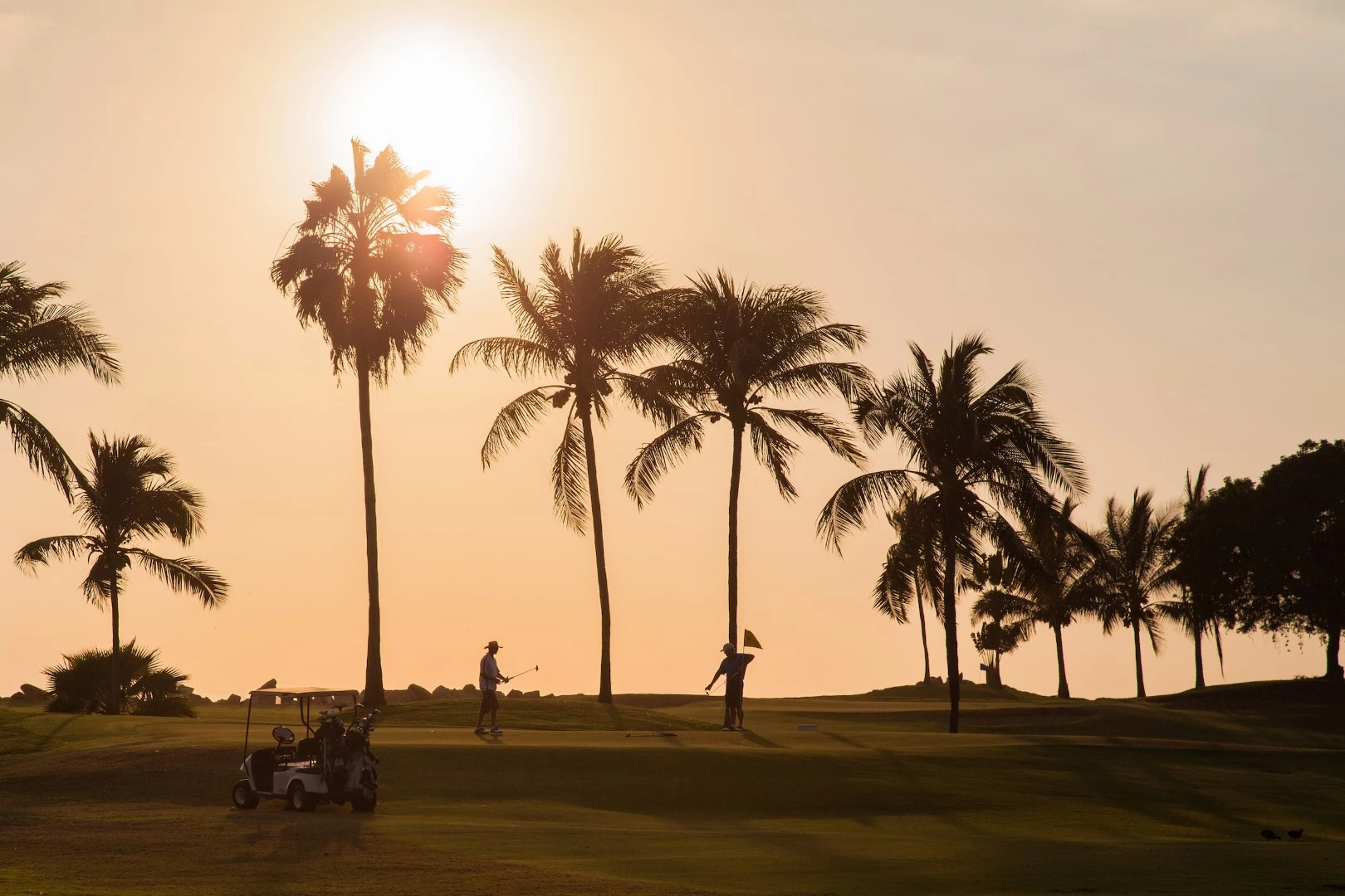 Marina Vallarta Club de Golf - Golf  Course