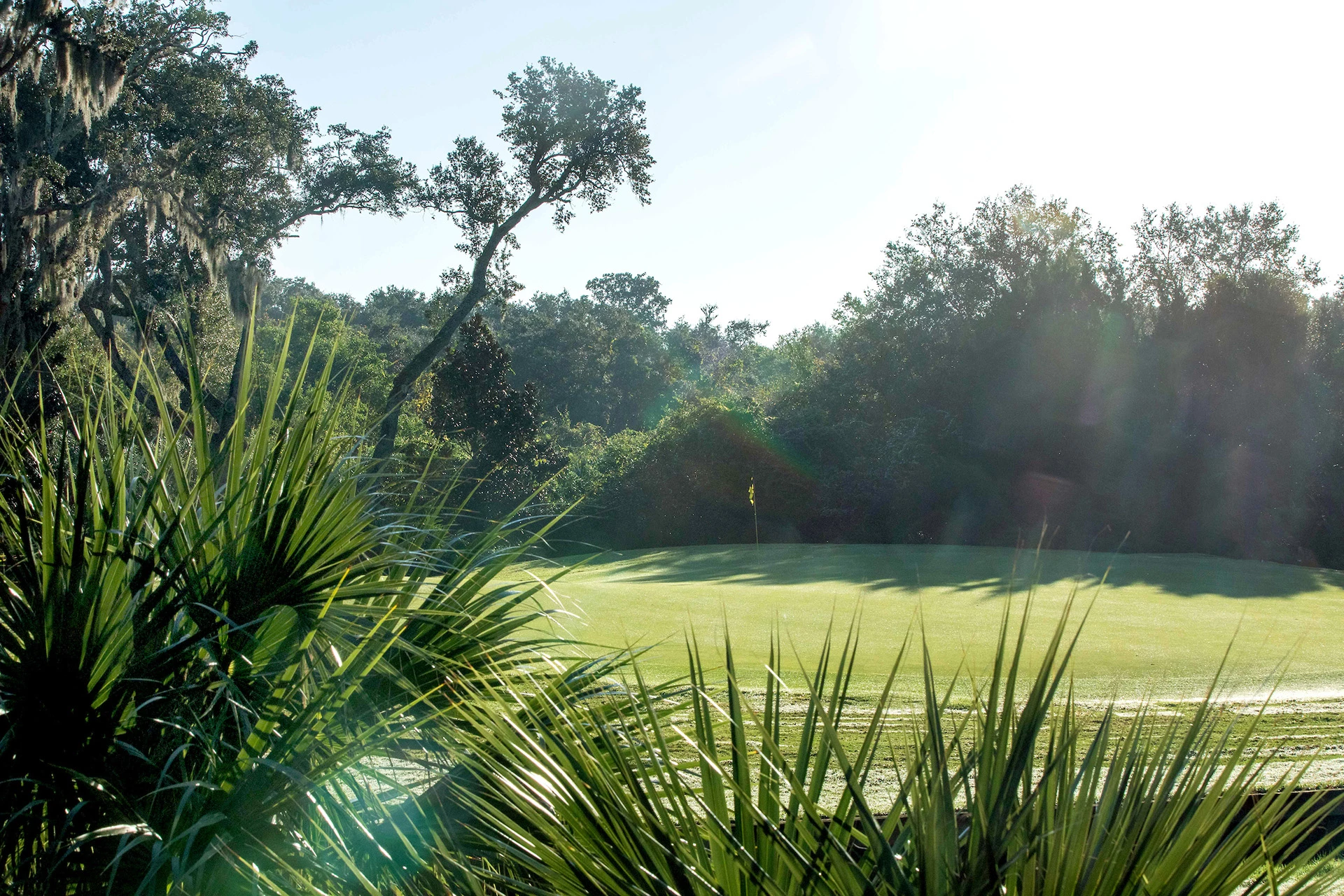 Marsh Creek Country Club - Golf Course