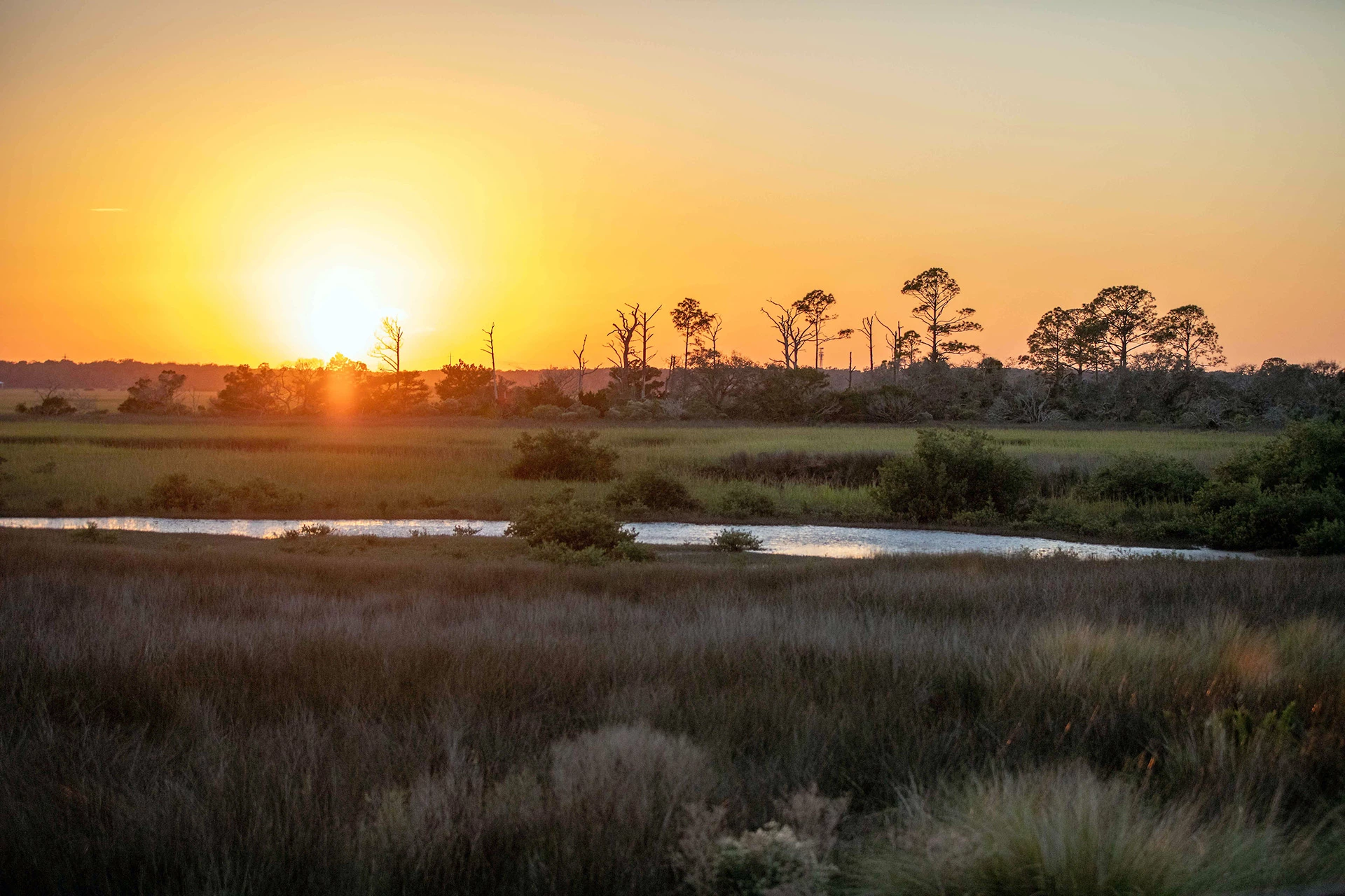 Marsh Creek Country Club - Golf Course