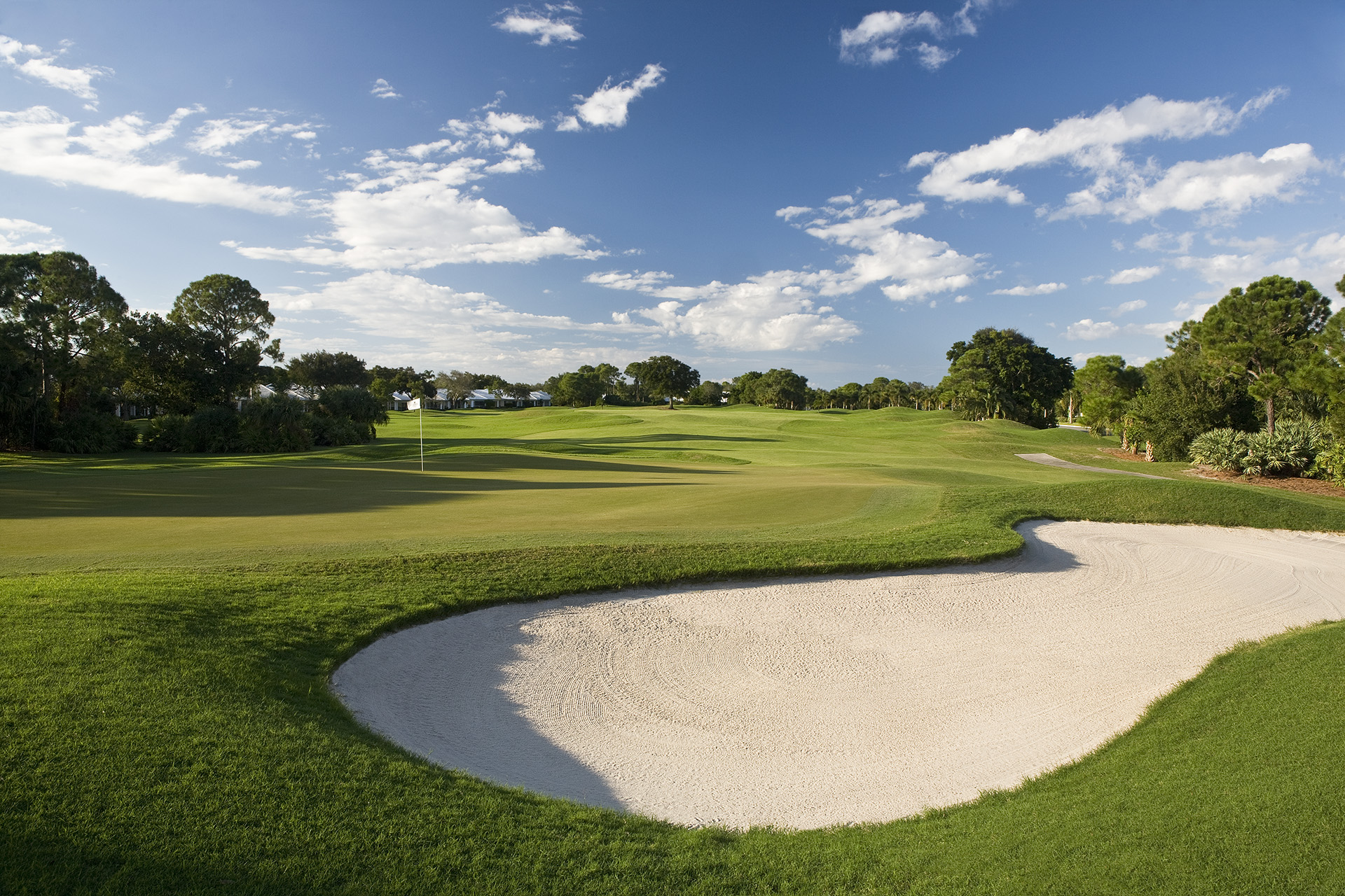Monarch Country Club - Golf Course Hole #15 Green