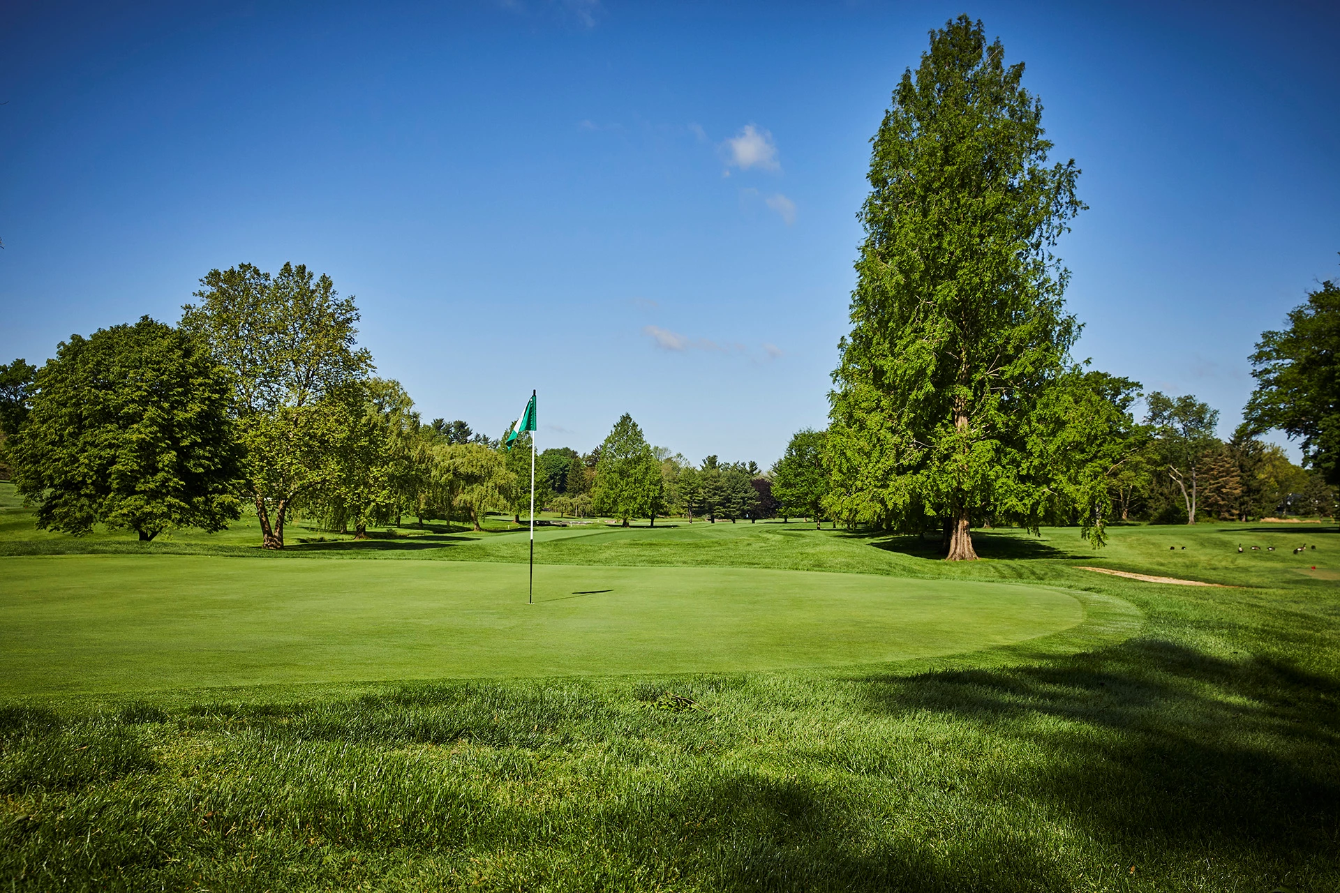 North Hills Country Club - Golf Course Hole 15