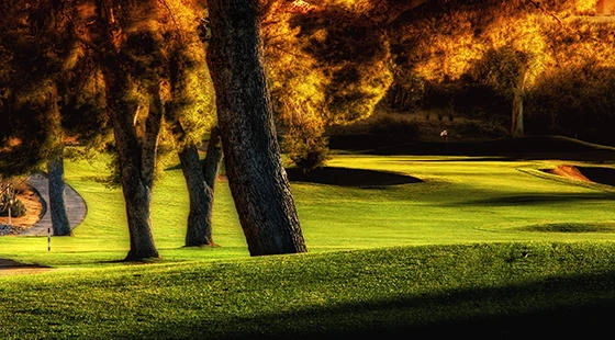 Oro&#x20;Valley&#x20;Country&#x20;Club&#x20;Golf