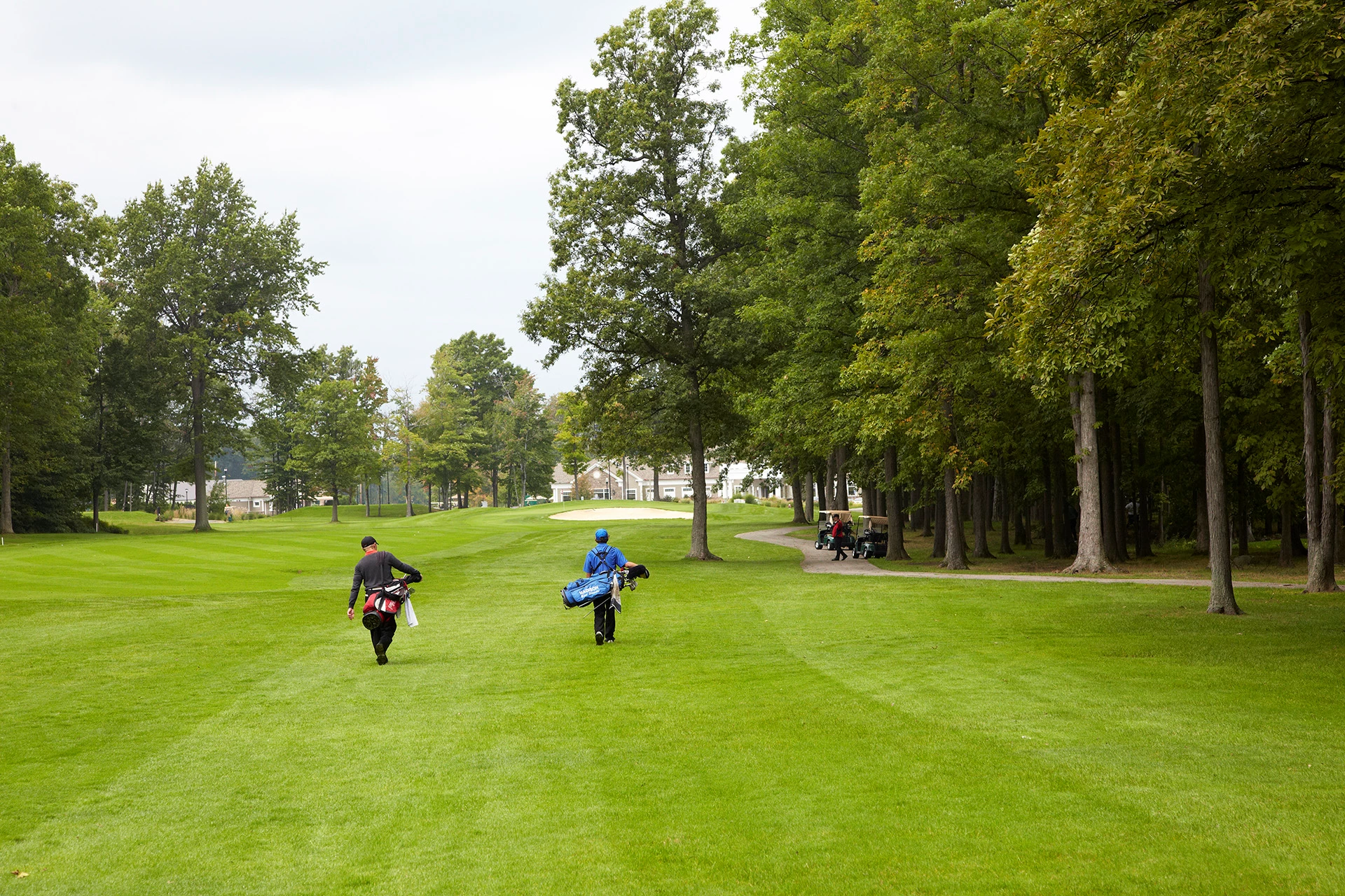 Quail Hollow Country Club - Golf Course Hole #16