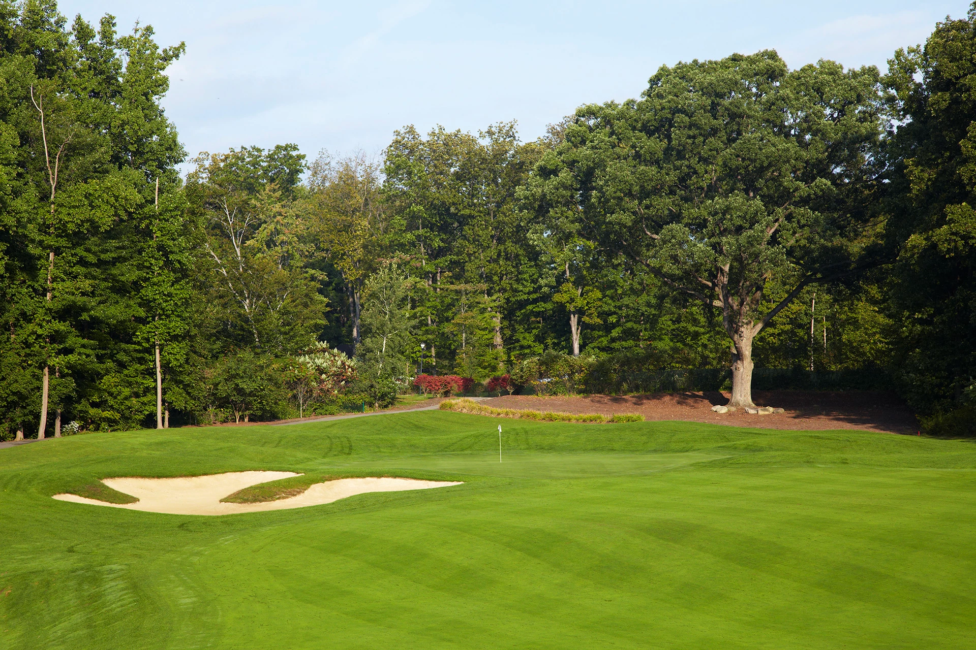 Quail Hollow Country Club - Golf Course Hole #8