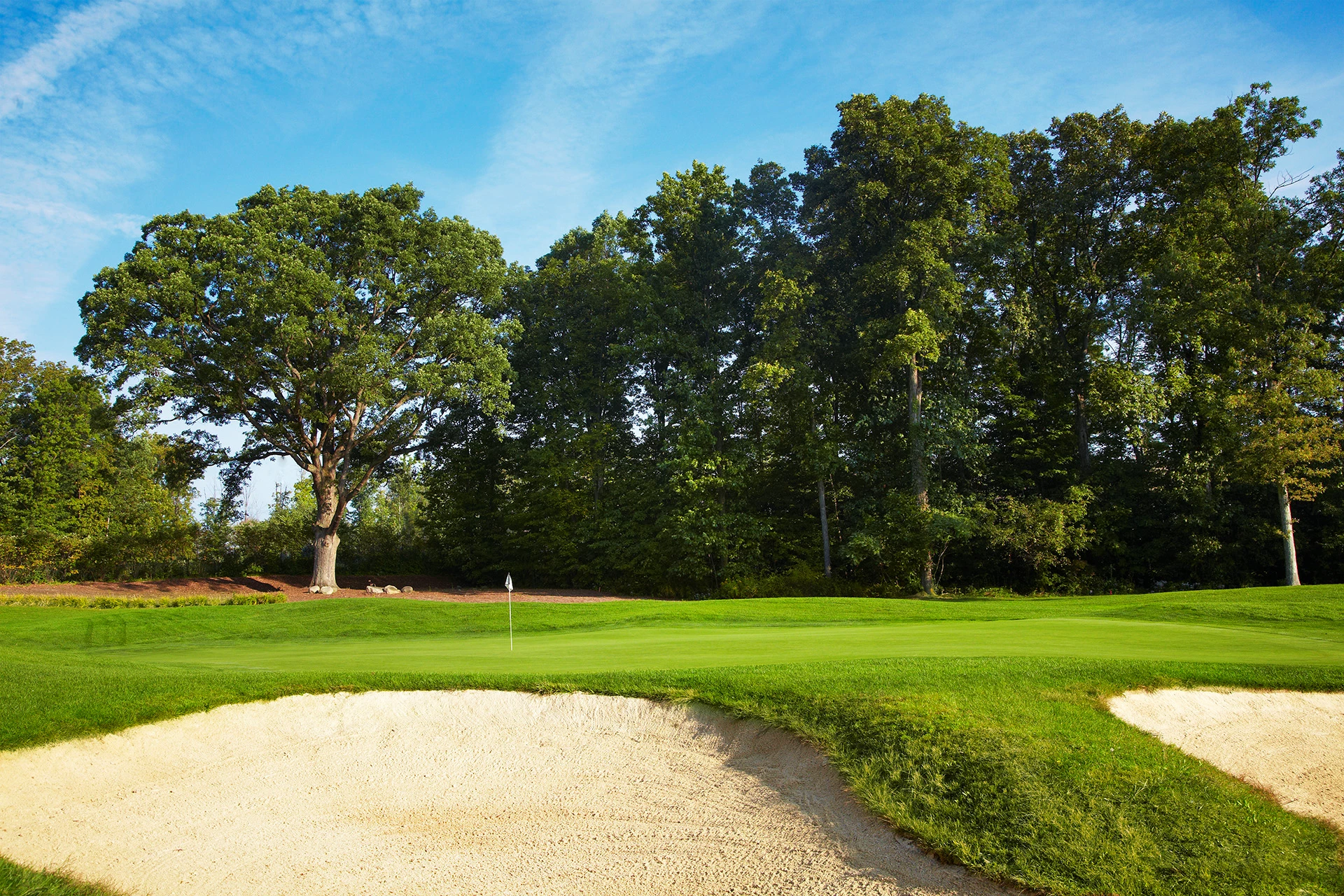 Quail Hollow Country Club - Golf Course Hole #8