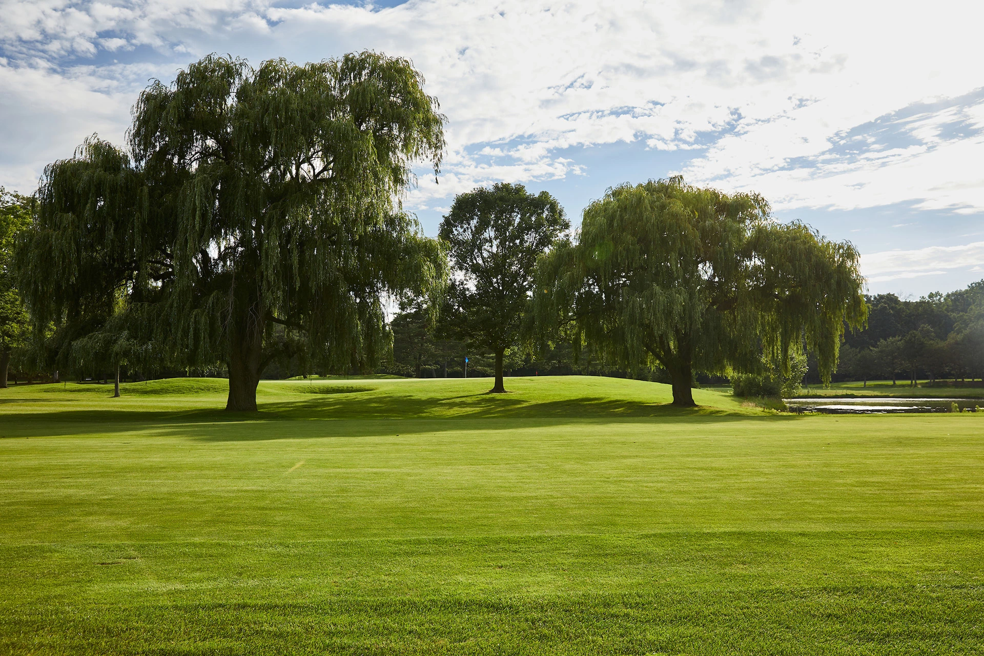 Ravinia Green Country Club - Golf Course Hole 1