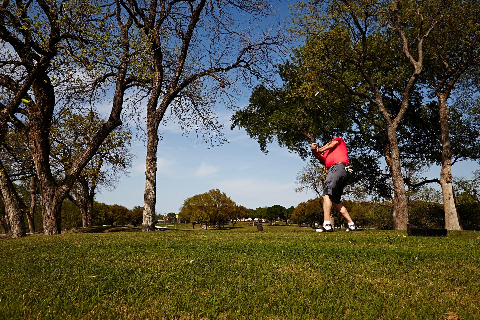 The Clubs of Prestonwood - Golfer