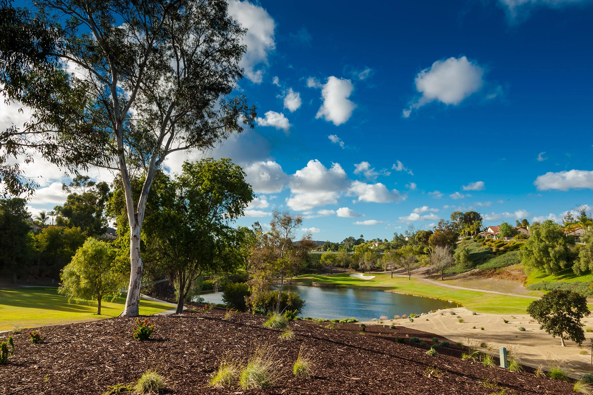 Bernardo Heights Country Club - Golf Course