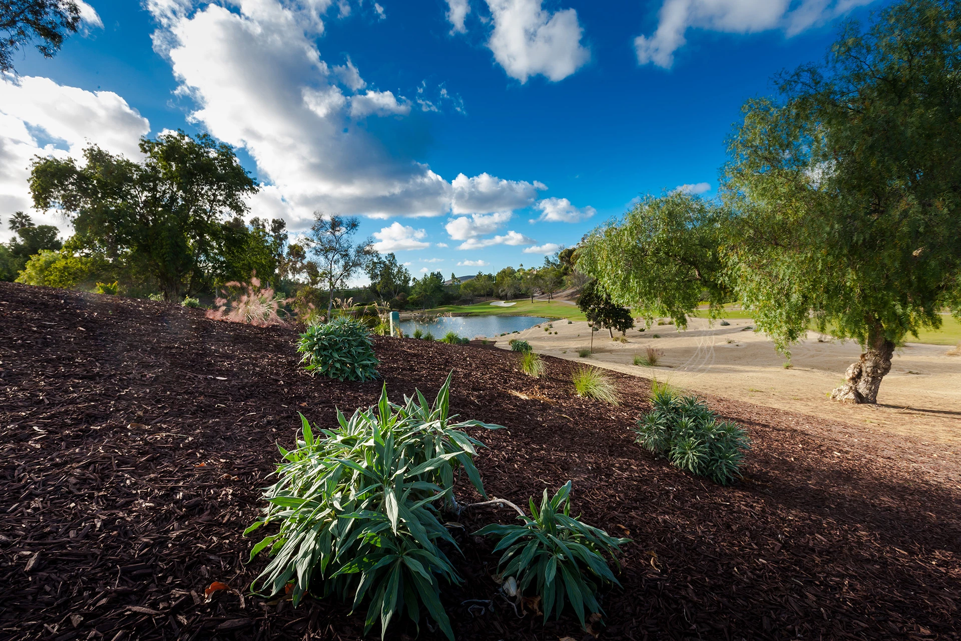 Bernardo Heights Country Club - Golf Course