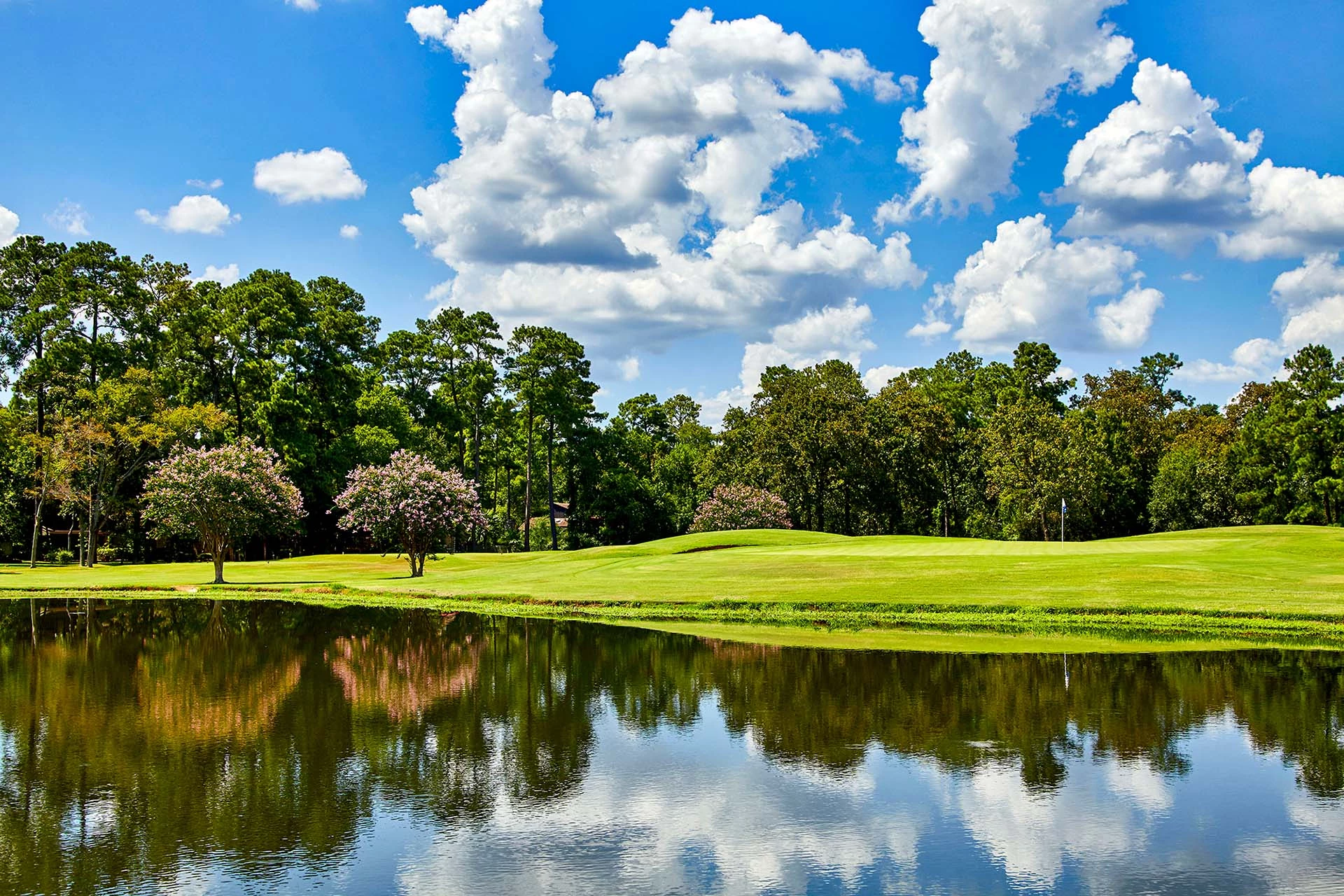 North Course at the Trails