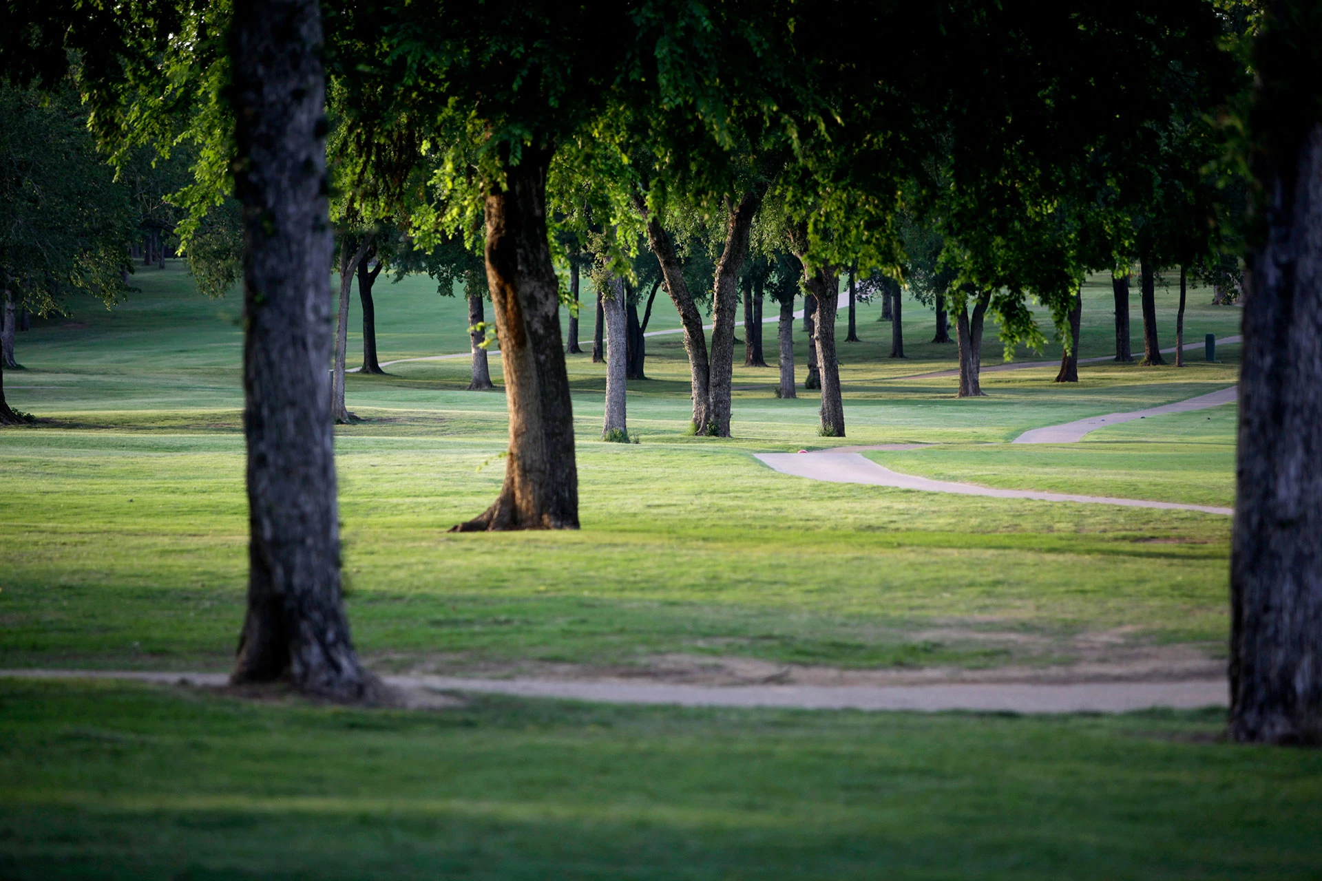 Walnut Creek Country Club - Course